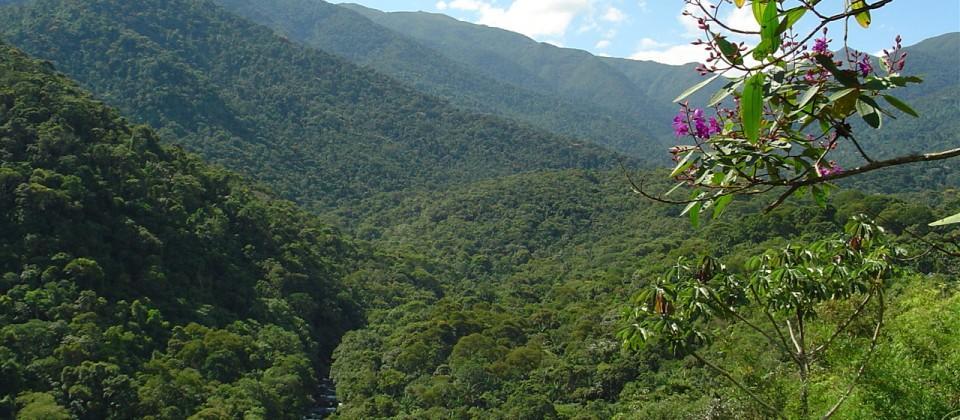 Apartment In Itatiaia
