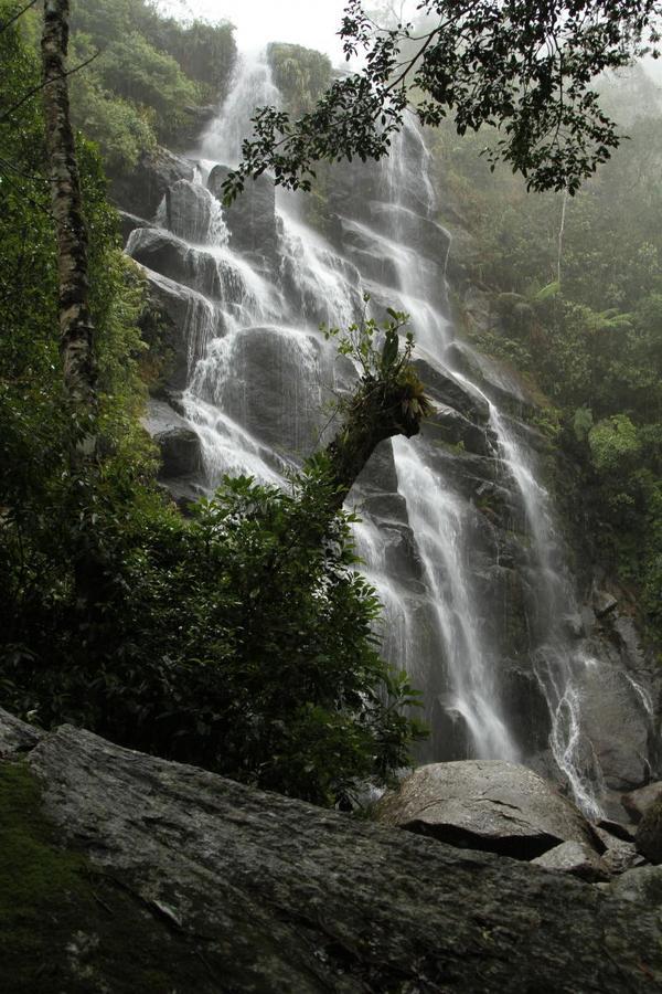 In Itatiaia * Itatiaia (Rio de Janeiro)